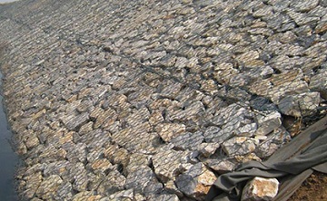 雷諾護墊 雷諾護墊