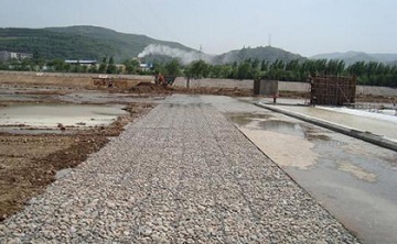 雷諾護墊 雷諾護墊